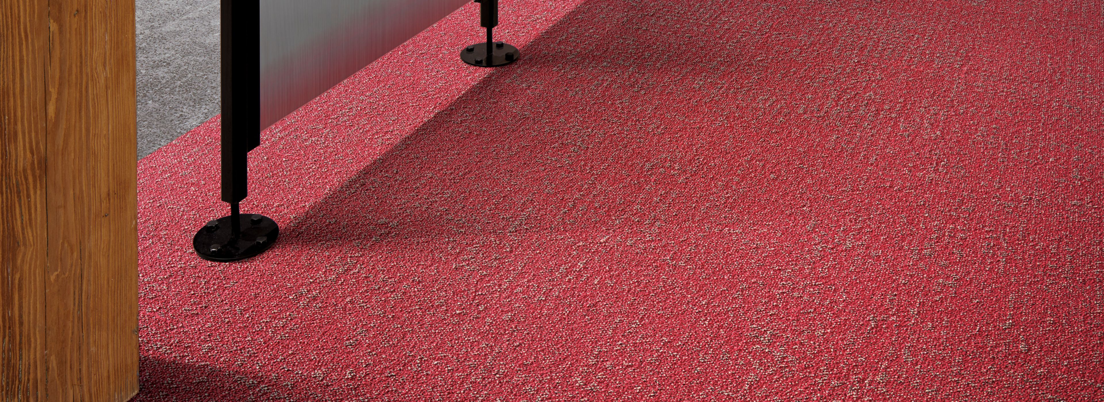 Interface Step it Up and Walk of Life carpet tile office hallway afbeeldingnummer 1